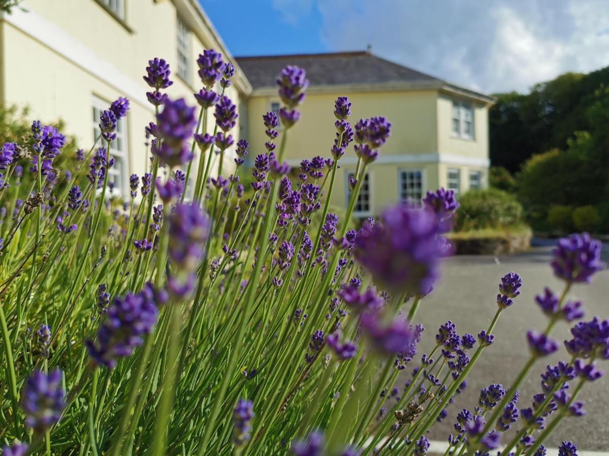 Rose In Vale 4* St Agnes (Cornwall)