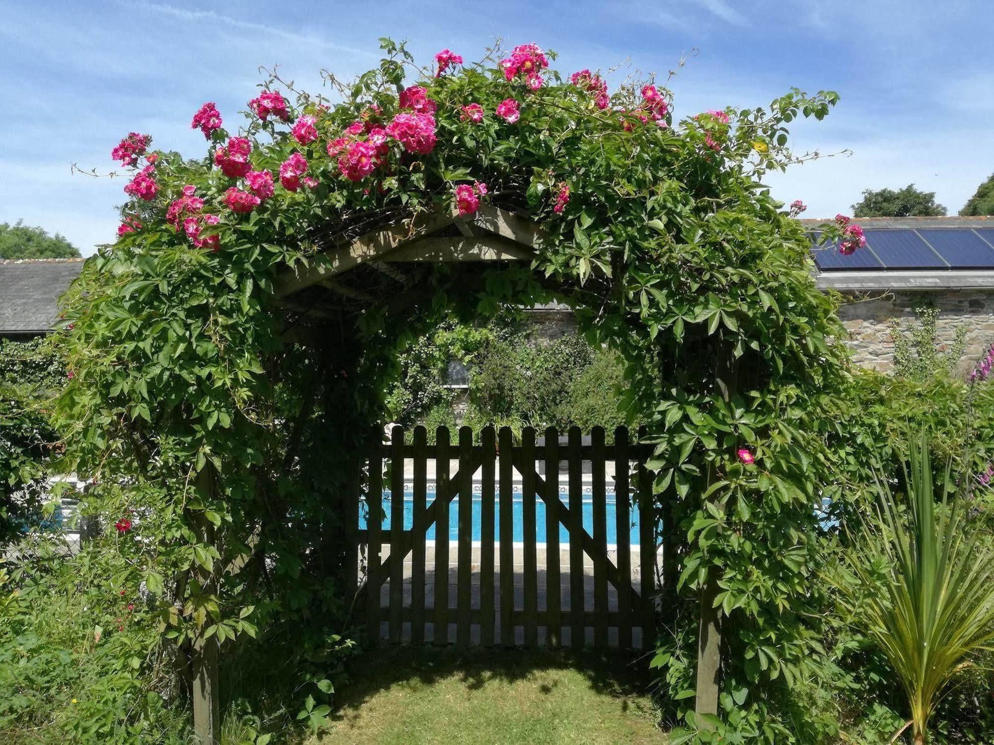 Hotel Rose In Vale St Agnes (Cornwall)