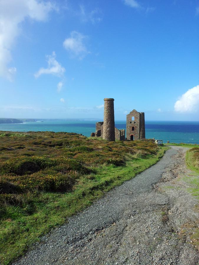 Rose In Vale St Agnes (Cornwall)